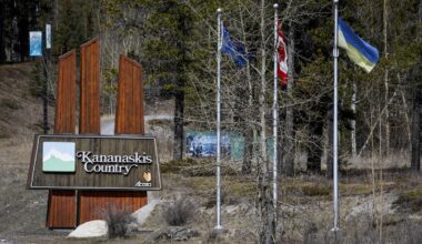 Black bear sedated after stand-off with elk in Canmore: RCMP