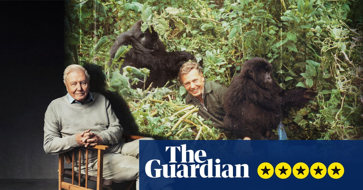 Making Life on Earth: Attenborough’s Greatest Adventure review – the anecdotes are just amazing | David Attenborough