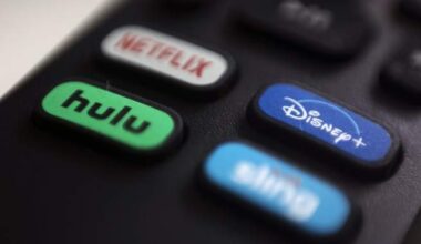 U.S. streaming industry slams CRTC rules for Canadian content investment - National