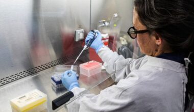 Argentina races to determine if country is source of deadly hantavirus outbreak