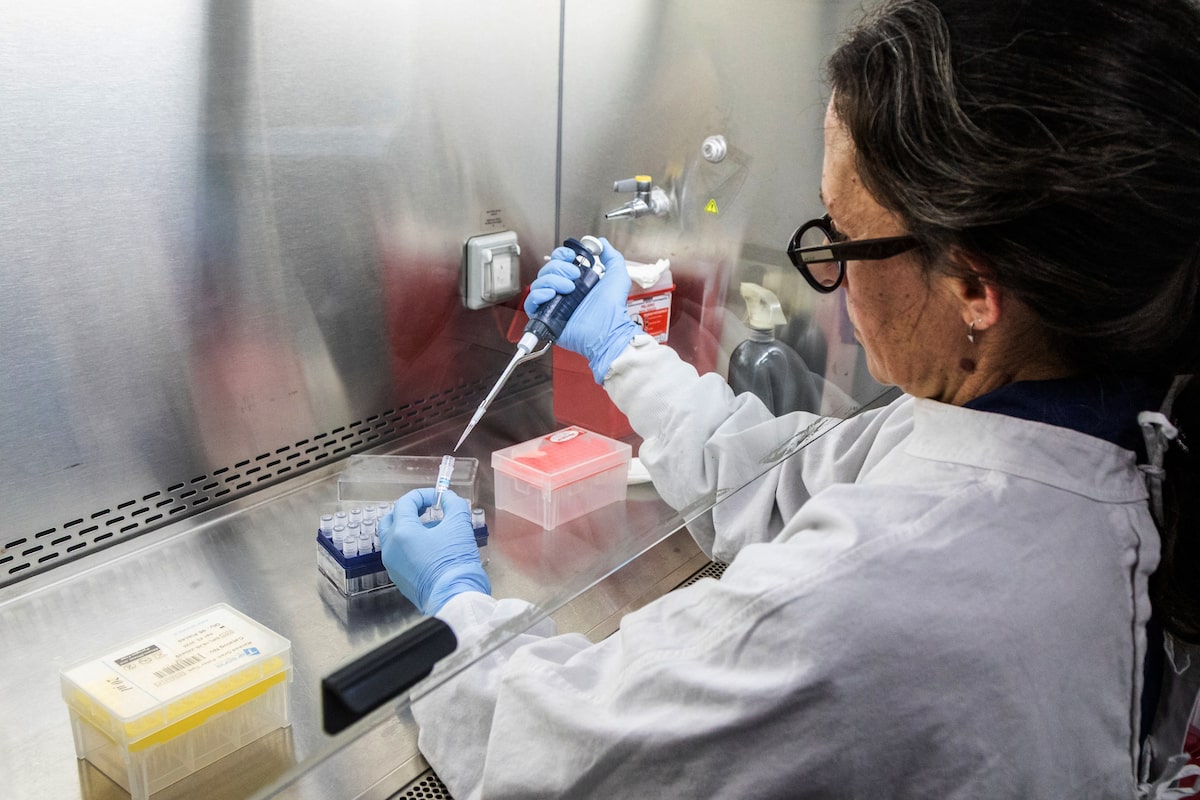 Argentina races to determine if country is source of deadly hantavirus outbreak
