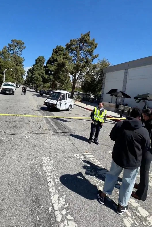 Videos from the area showed streets closed off as curious onlookers tried to catch a glimpse of the alleged mountain lion.