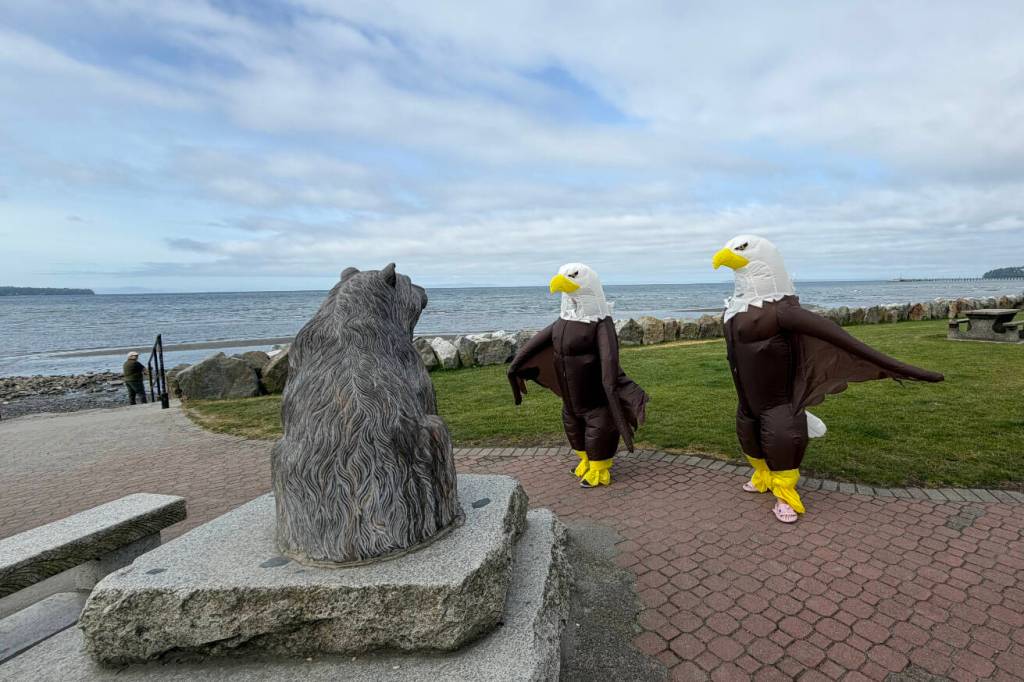 A pair of eagle friends were out and about on East Beach the morning of May 23, 2026 brought smiles to the faces of many waterfront visitors. (Lisa Blackham/Contributed to Peace Arch News)