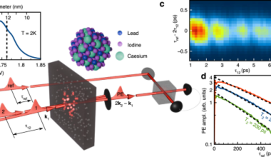 Quantum beats of exciton-polarons in CsPbI3 perovskite nanocrystals