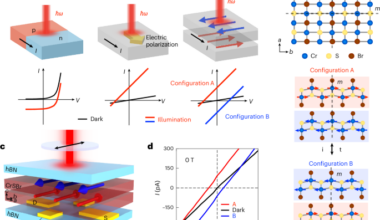 Layer photovoltaic effect in a two-dimensional antiferromagnet with parity–time symmetry