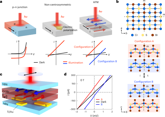 Layer photovoltaic effect in a two-dimensional antiferromagnet with parity–time symmetry