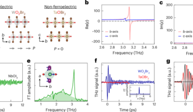 Observation of coherent ferron emission and propagation