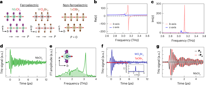 Observation of coherent ferron emission and propagation