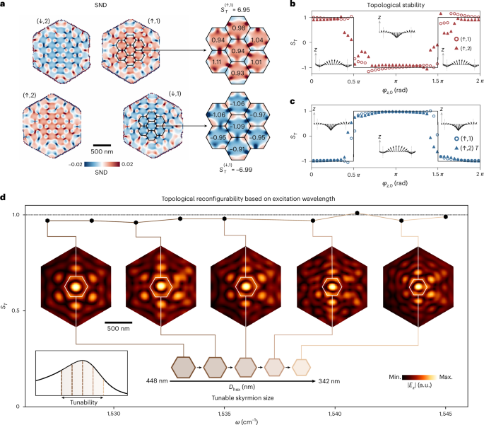 Fig. 4: Experimental reconfigurability of qBIC-driven photonic skyrmion lattices.