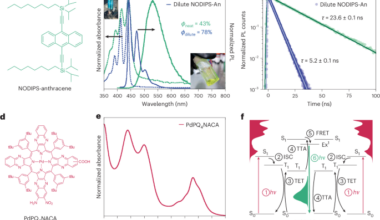 Structural exciton localization drives efficient solid-state sensitized triplet fusion upconversion