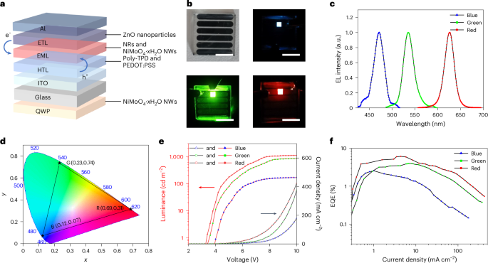 Electrically programmable circularly polarized three-dimensional display