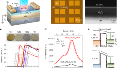 Giant trion modulation in scalable monolayer MoS2 via plasmonic HfN gates