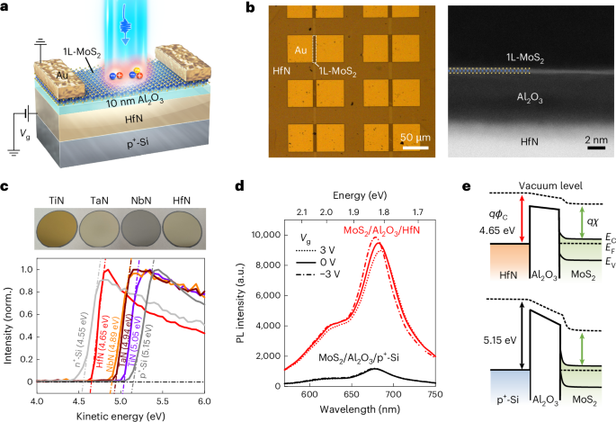 Giant trion modulation in scalable monolayer MoS2 via plasmonic HfN gates