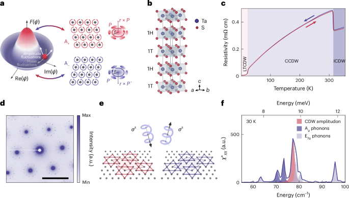 Resonant chiral dressing by amplitude fluctuations in a ferroaxial electronic crystal