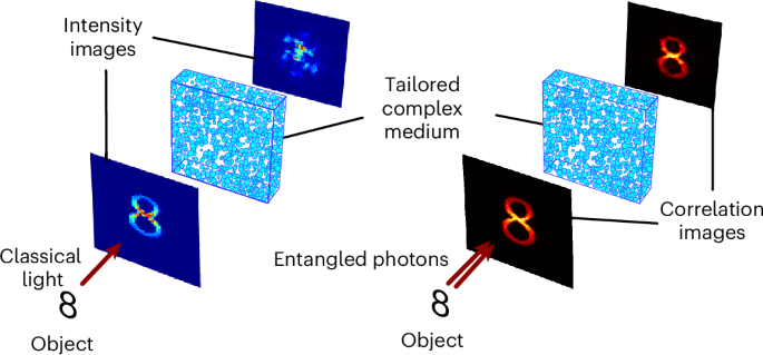 Entanglement-enabled image transmission through complex media