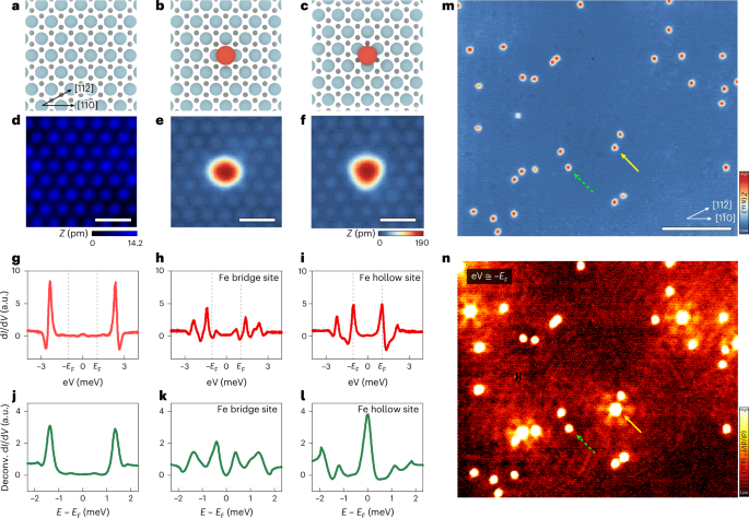 Robustness of Majorana modes to a disorder potential in atomic chains on a superconducting Rashba alloy