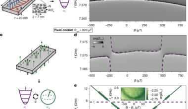 Quantum coherent manipulation and readout of superconducting vortex states