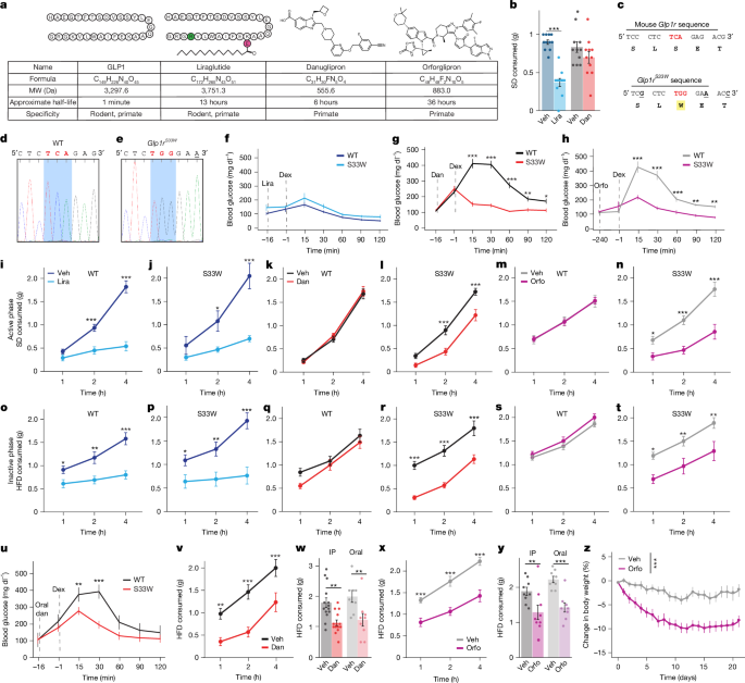 A brain reward circuit inhibited by next-generation weight-loss drugs in mice