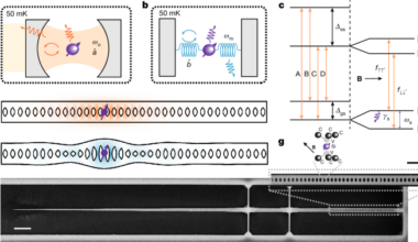 Purcell-enhanced spin–phonon coupling with a single colour centre