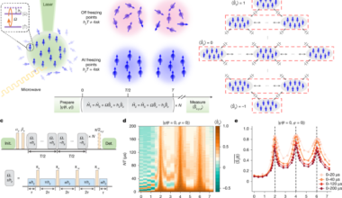 Dynamical freezing for magnetometry in an interacting spin ensemble