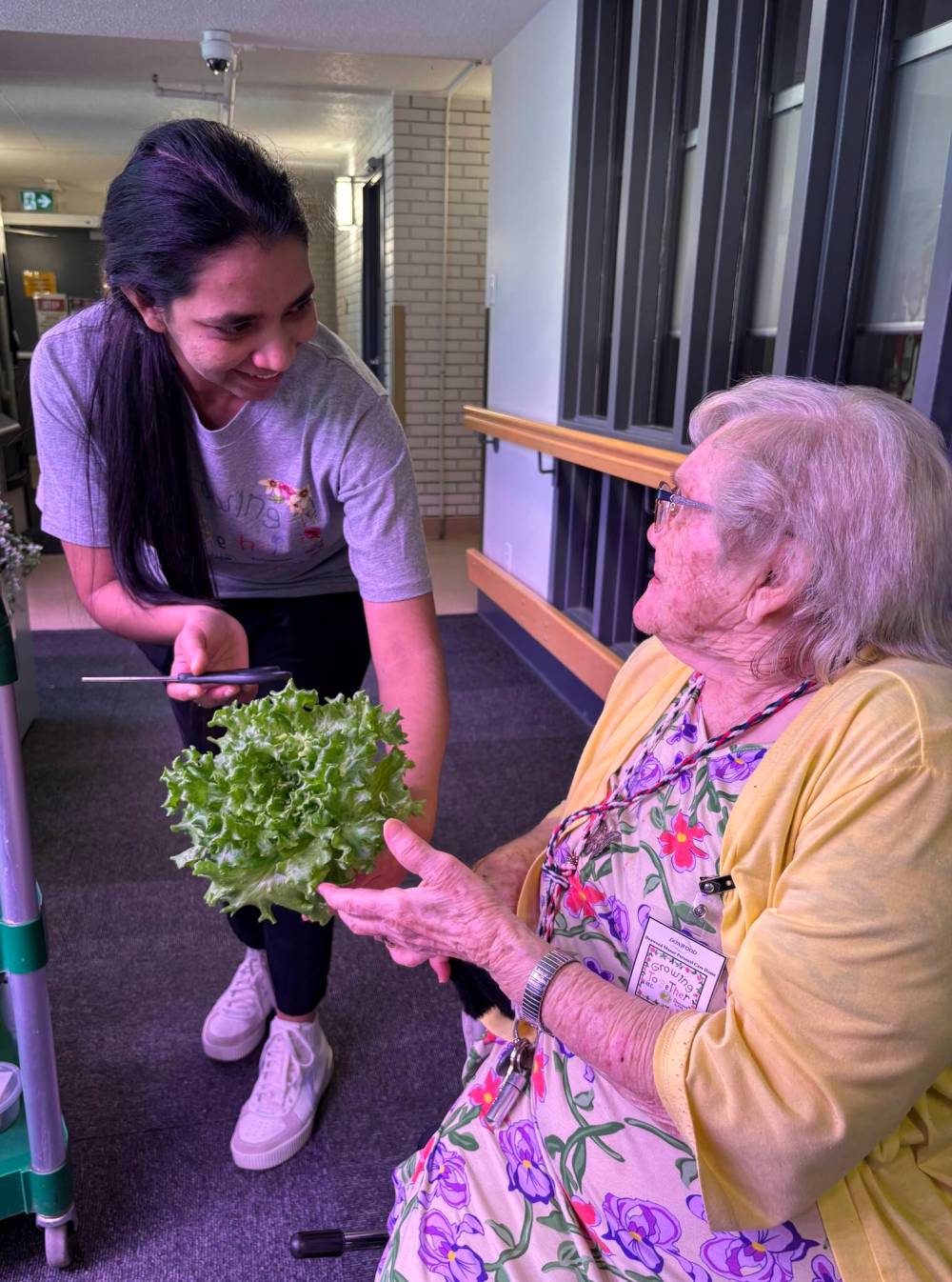 JOHN LONGHURST PHOTO
Community enrichment coordinator Minoli Maharage hands lettuce to Donwood tenant Adina Goertzen.