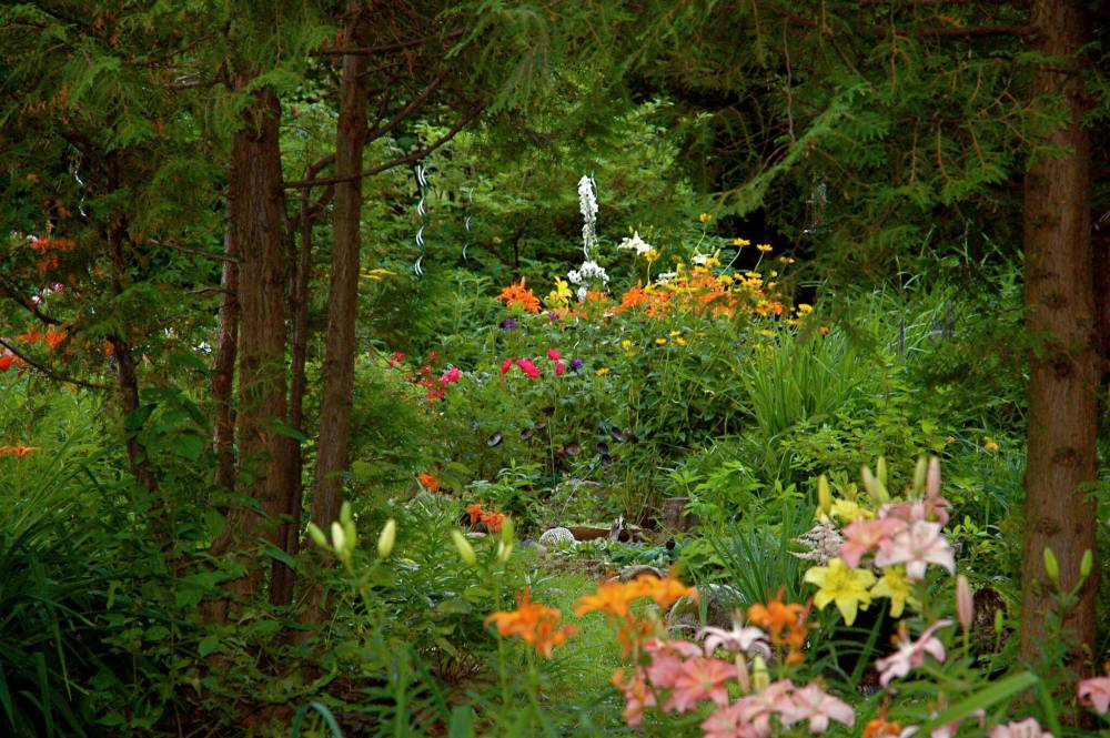 Becky Slater photo
Eighty to 90 per cent of Winnipeg’s three million trees are on private property. A private tree bylaw could help protect them.