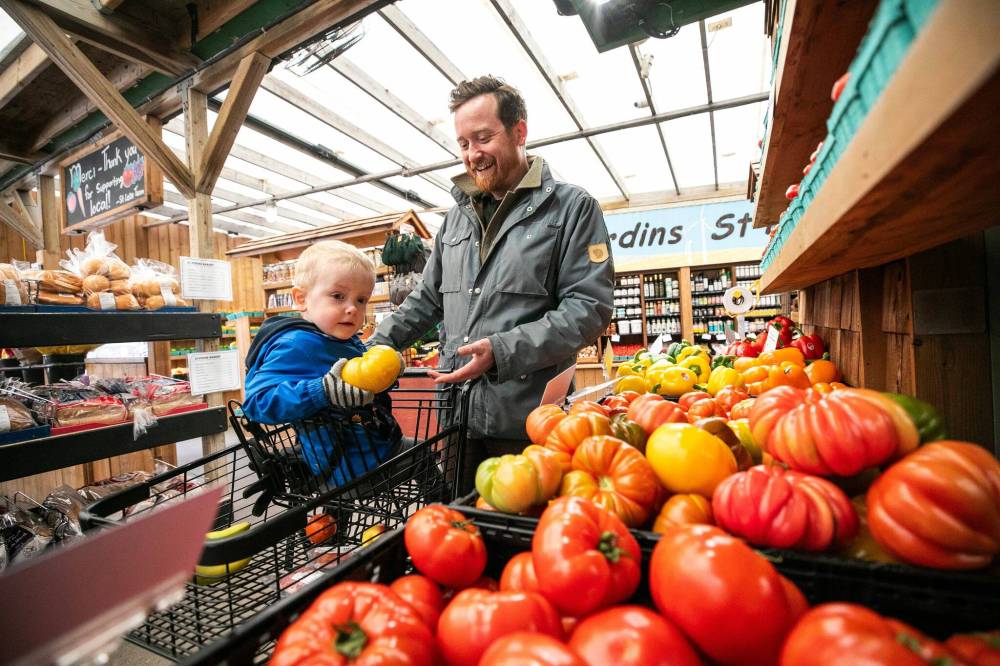 MIKAELA MACKENZIE / FREE PRESS
Nicolas Audette and Pascal Fournier-Audette, 3, pick out local and Ontario-grown tomatoes Thursday at Jardins St-Léon Gardens, which opened this week for the gardening season.