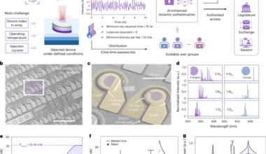 Physical unclonable functions based on chaotic vertical-cavity surface-emitting lasers for dynamic authentication