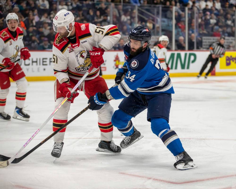 BROOK JONES/FREE PRESS
Manitoba Moose left-winger Phillip Di Giuseppe and Grand Rapids Griffins right-winger Austin Watson (51) battle for the puck during second period action Saturday in Winnipeg.