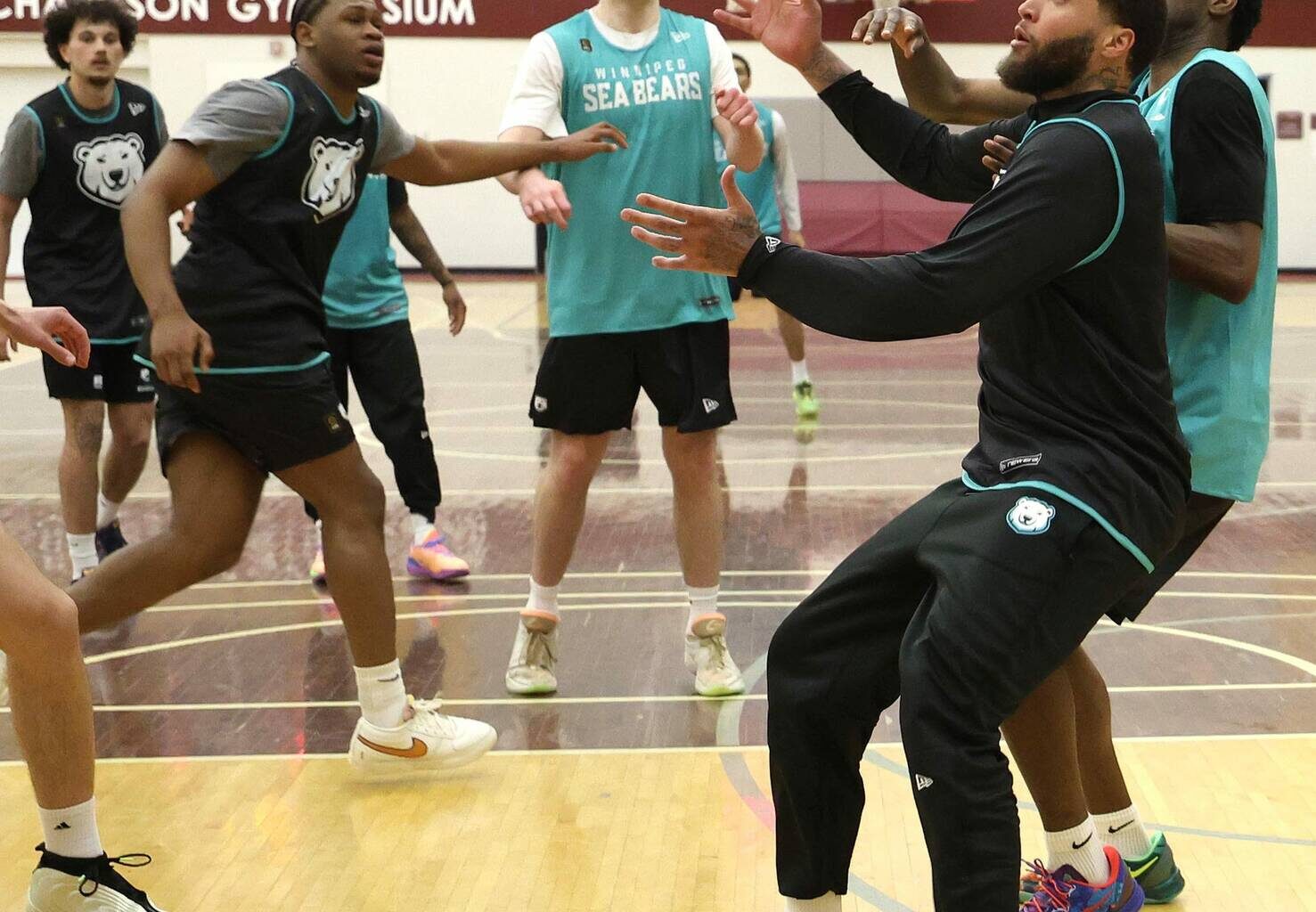 Sea Bears see positives in training camp progress – Winnipeg Free Press