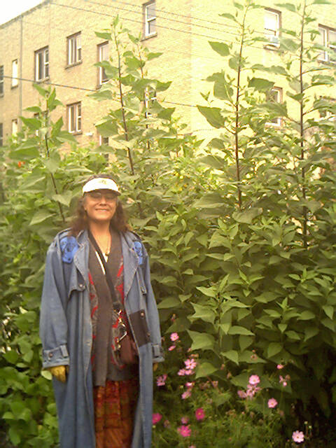 SUPPLIED
Audrey circa 2022 at Klinic Garden.
