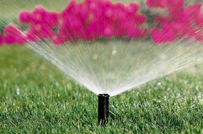 Stage 2 watering restrictions are in effect in Surrey and throughout Metro Vancouver starting Friday, May 1. Stage 2 means lawn watering is prohibited. In White Rock, Stage 1 restrictions also start May 1, which means lawn watering is permitted once a week at specific times, depending on residents&rsquo; addresses, according to the city&rsquo;s website. (Black Press file photo)