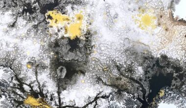 Detail from Naturally Natural #120. (Xiaojing Yan/Campbell River Art Gallery/Contributed)