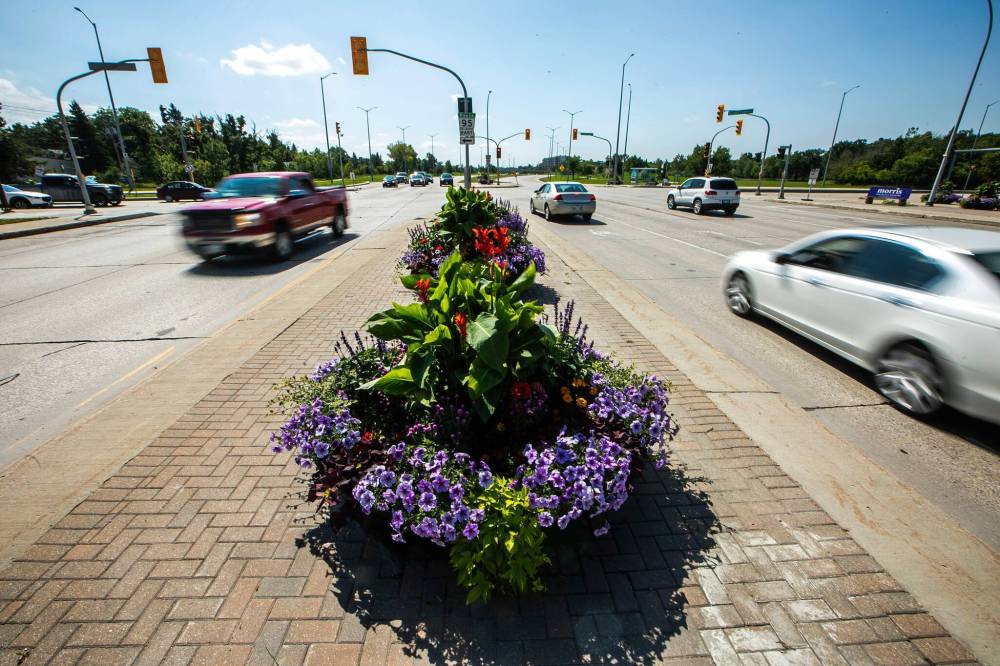 MIKAELA MACKENZIE / FREE PRESS
City of Winnipeg gardeners tend to more than 29,000 square metres of floral arrangements and maintain more than 1,600 flower pots.