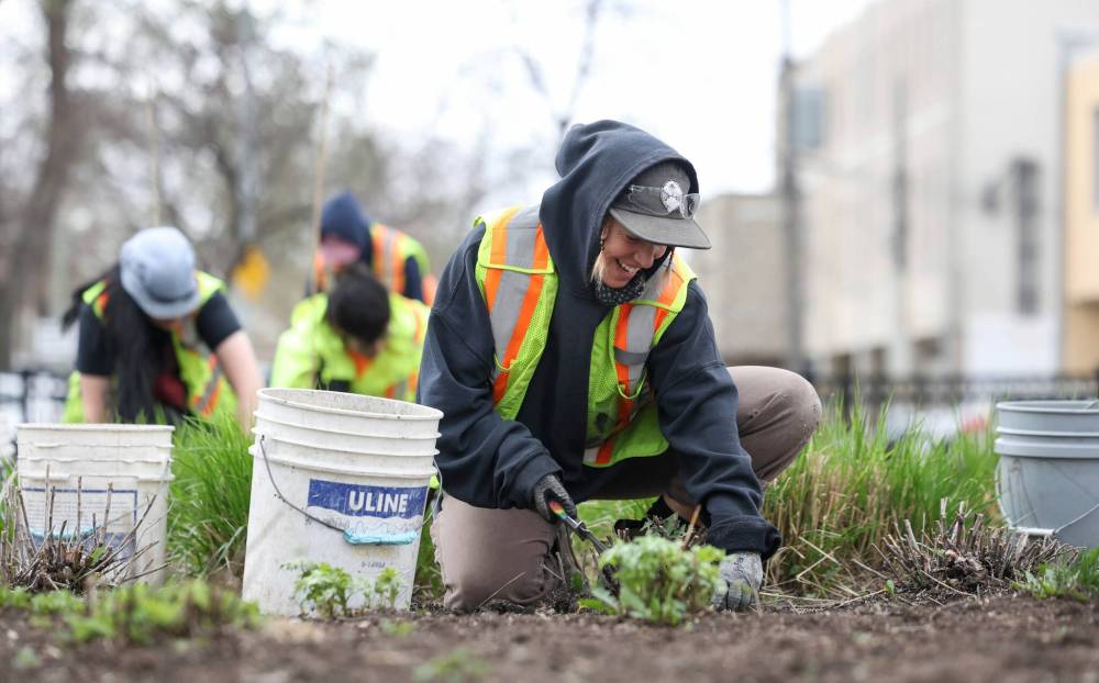 RUTH BONNEVILLE / FREE PRESS
Kelsey Heide, a gardener with the City of Winnipeg, pulls out weeds in flower beds along with a crew of city gardeners at Vimy Ridge Park Friday May 15. The city has started prepping flower beds across the city before spring planting begins.