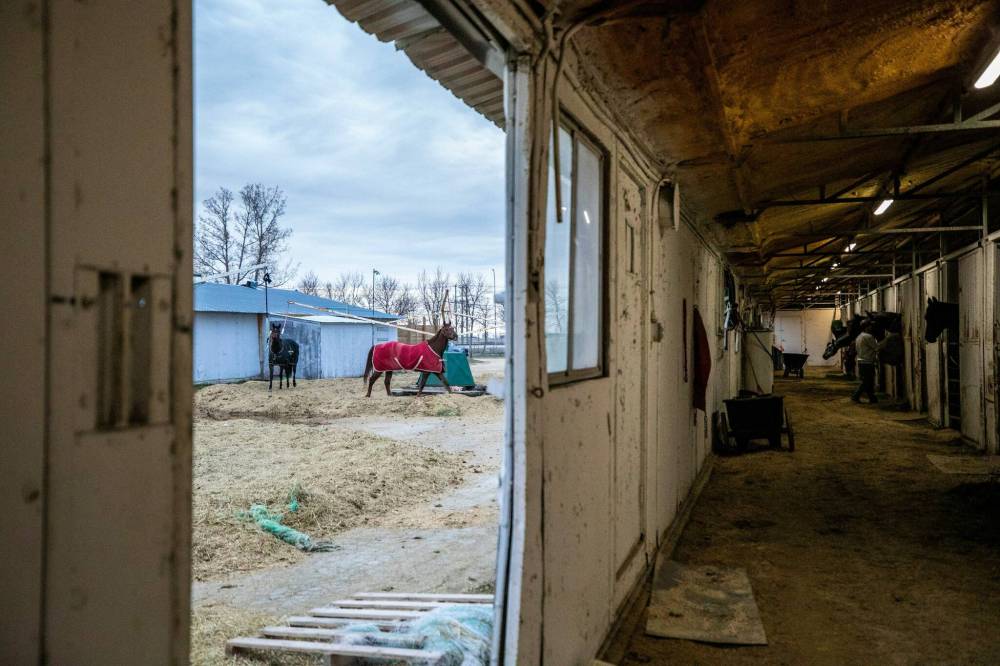 MIKAELA MACKENZIE / FREE PRESS
More than 450 horses call Assiniboia Downs home during the five-month racing season.