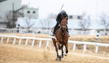 Mane attraction – Winnipeg Free Press