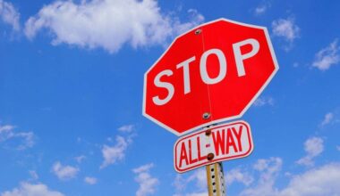 Hey drivers, &lsquo;almost stopped&rsquo; is not a thing. (ElasticComputeFarm/Pixabay)