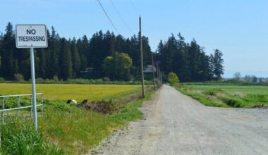 The Mound Farm, located south of Highway 10 in Cloverdale, is on a drumlin with old-growth trees. (Tom Zytaruk/Surrey Now-Leader)