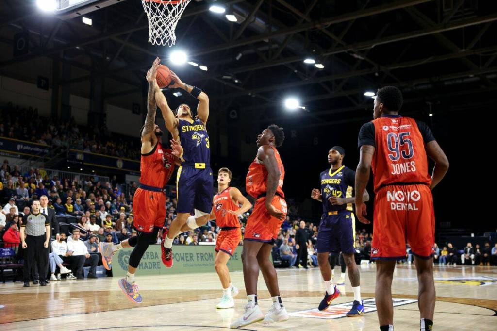 Vancouver Bandits were leading against Edmonton Stingers in the first half of their game at Expo Centre in Edmonton, but the home team came back to win. (Special to Langley Advance Times)