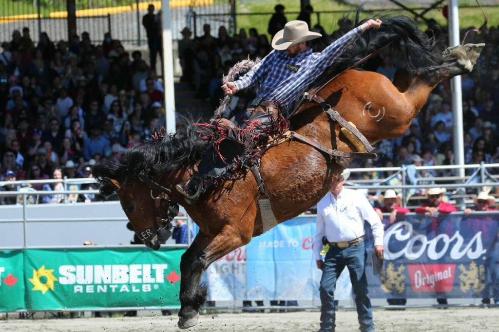 (Photo is from 2025 Rodeo) Nick Patterson was injured after a saddle bronc competition at the Cloverdale Rodeo on May 16. (Nick Patterson/Contributed to Peace Arch News)