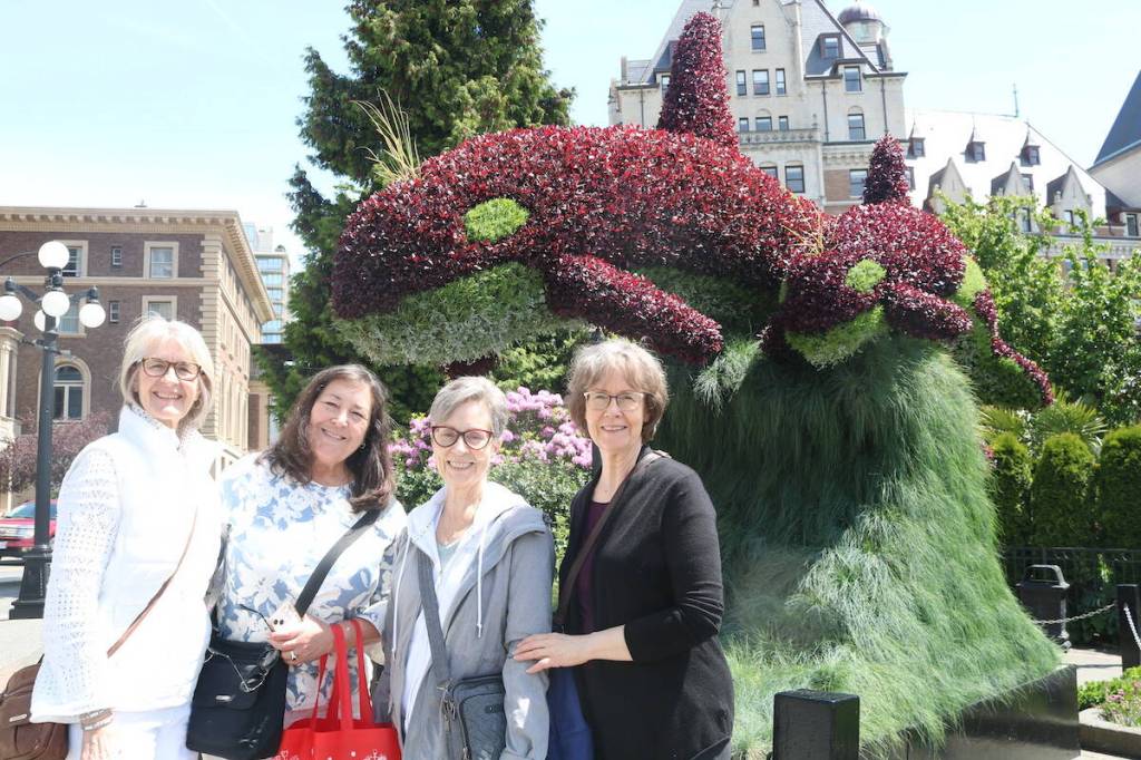 Cousins Gail Hunter, Laurie Hugill, Melody Eldreth and Julie Caldie, visiting from the U.S. and Calgary, stop for a snap next to the orca topiary sculpture before high tea at the Fairmont. (Ben Fenlon/Victoria News)
