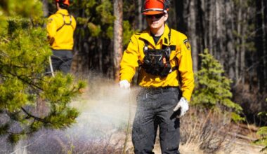 Firefighters wet down foliage ahead of a prescribed burn near Robert Service way in Whitehorse on Wednesday, May 13, 2026. (Photo by Noah Korver/Yukon News)