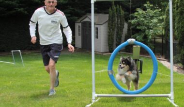 Sophie trains in her North Saanich back yard alongside Ron Wright. The 11-year-old mini Australian shepherd set the new record in for most qualifying scores at a weekend agility completion. (Christine van Reeuwyk/Peninsula News Review)