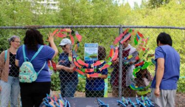 Attendees installed 300 painted fish in the Stream of Dreams mural along the detention pond fence. (Salmon Habitat Restoration Program/ Contributed to Surrey Now-Leader)