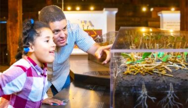A new exhibit called Soil Superheroes has opened at the Museum of Surrey. (Photo submitted to Cloverdale Reporter/Museum of Surrey)