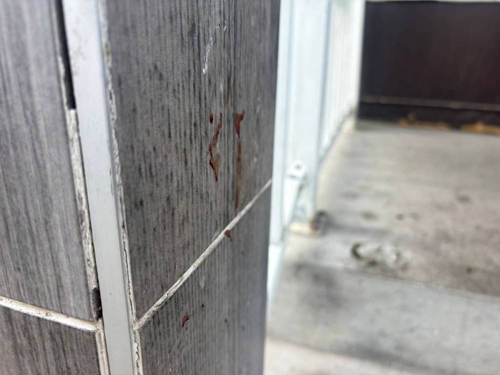 MORGAN MODJESKI / FREE PRESS
The apartment block in the 700 block of Sargent Avenue where a man was stabbed to death on the weekend.