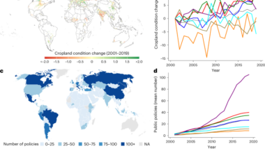 Agri-environmental policies have reduced cropland degradation globally