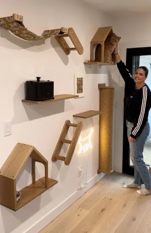 Theresa Vanderstar with her cat and cat wall in her new homeCredit: Theresa Vanderstar