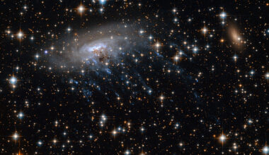 Characterizing galaxies at "cosmic noon" – Sciworthy
